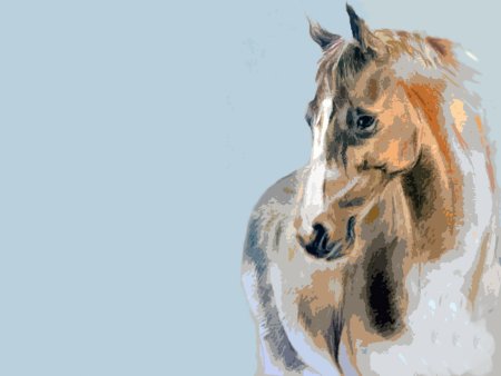 Поздравления с днём рождения с лошадьми