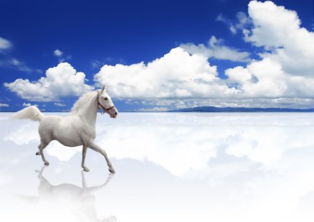 Лошадь на фоне неба