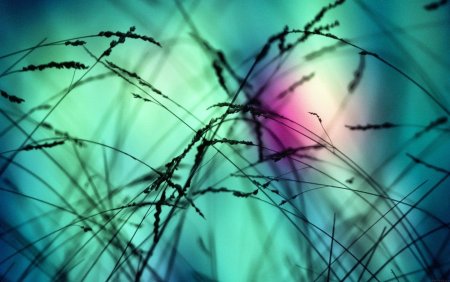 Фоны красивые и редкие