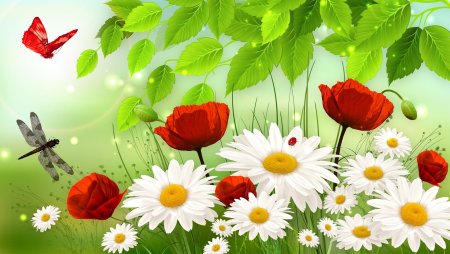 Открытки летние цветы