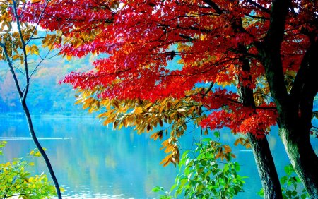 Обои на рабочий стол осень