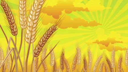 Рисунок ко Дню сельского хозяйства