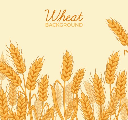 Пшеница паттерн