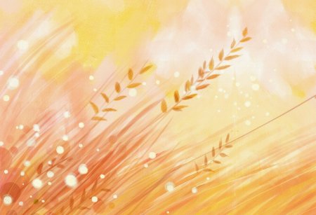 Фон колосья