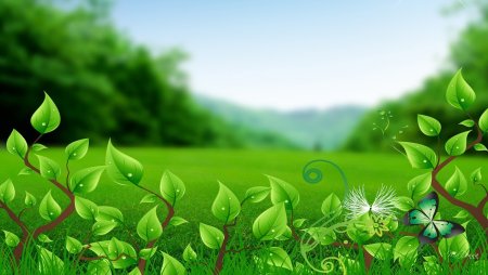 Экология фон