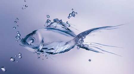 Рыба абстракция