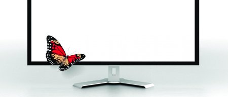 Монитор для слайдов