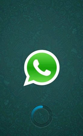 Обои в ватсапе прикольные