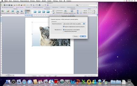 Фон вопросы