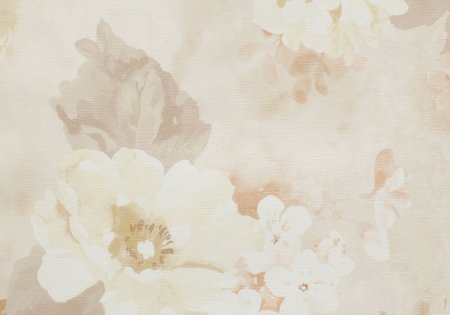 Бежевый фон для презентации