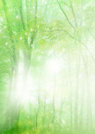 Светлый фон