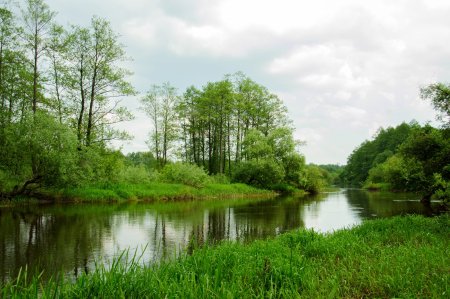 Река белавинка