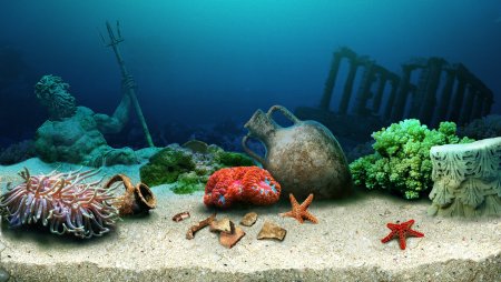 Морское дно 3д