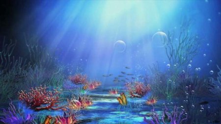 Сказочное Морское дно