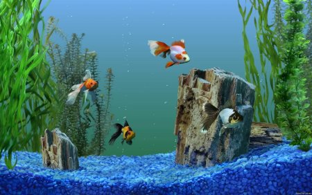Скринсейвер аквариум