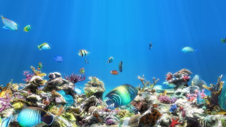 Обои на рабочий стол аквариум