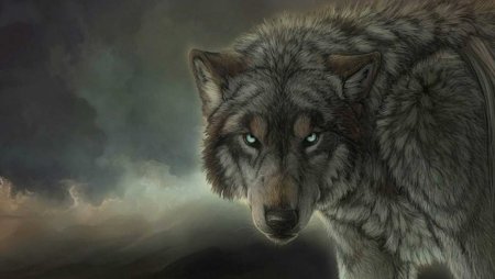 Волки крутые