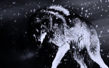 Картинки на рабочий стол волки