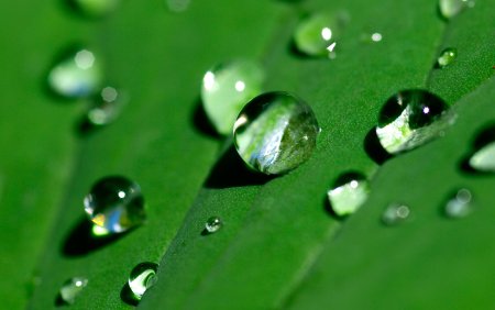 Обои на рабочий стол капли воды