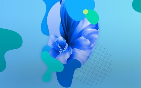 Обои на рабочий стол Хуавей