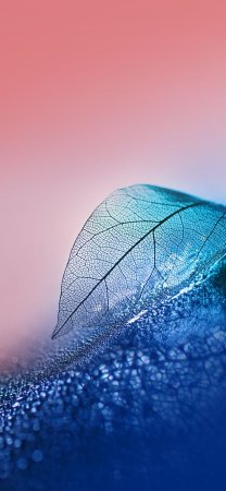 Обои Хуавей