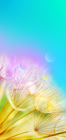 Заставки для Хуавей природа