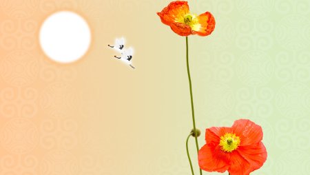 Маки на желтом фоне