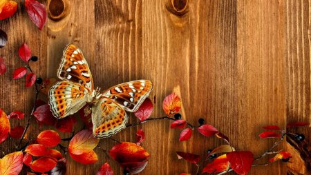 Осенний фон на рабочий стол