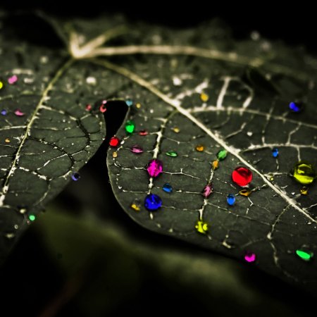 Красивые картинки на телефон