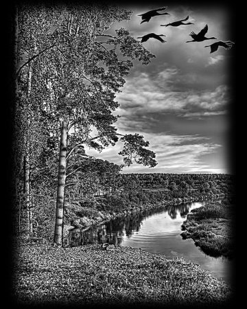 Природа для гравировки на памятниках