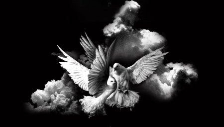 Голуби на памятнике гравировка