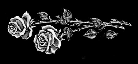 Розы для гравировки