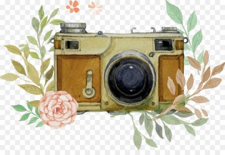 Стилизованный фотоаппарат