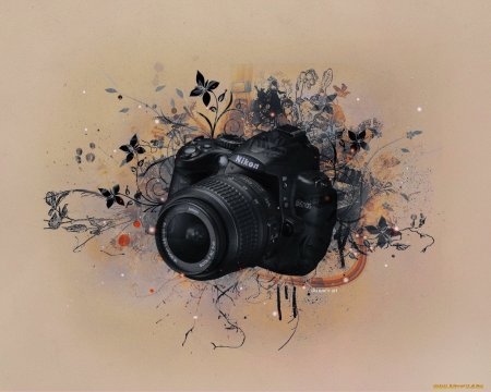 Фотоаппарат арт