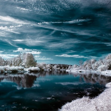 240х320 природа