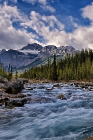 Картинки 240х320 природа