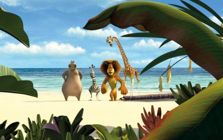 Мадагаскар 2005 Алекс