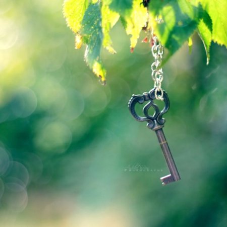 Ключик в природе