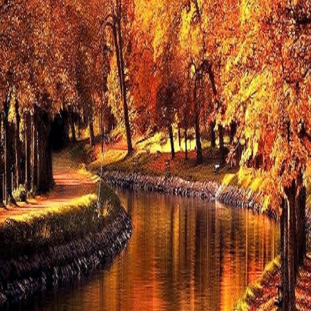 Осень на телефон