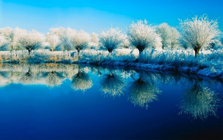 Зимняя природа