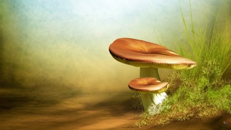 Грибной фон для презентации