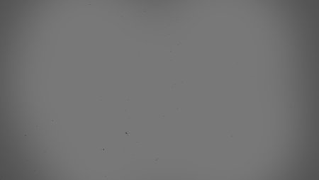 Фон светло серого цвета