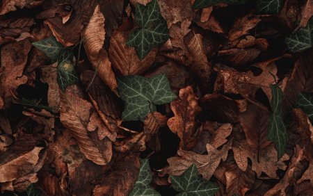 Коричневая кожа