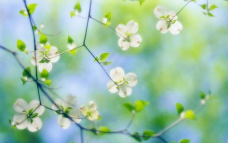 Весенний фон для презентации