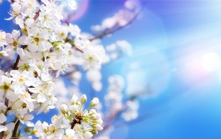 Пробуждение весны