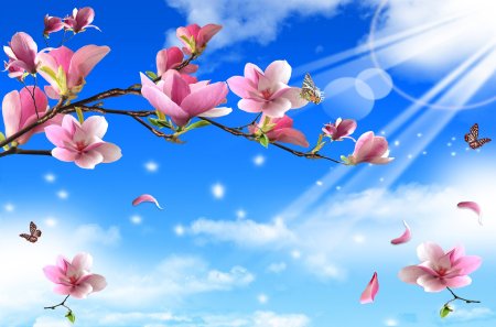 Красивые ветки деревьев