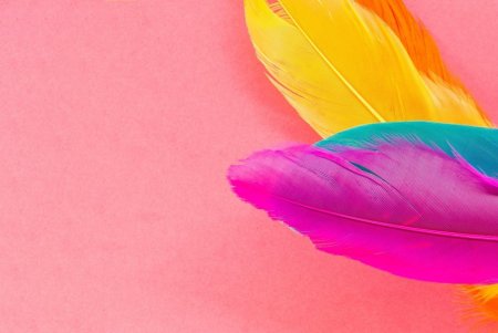 Розовые перья