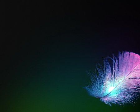 Перо на черном фоне