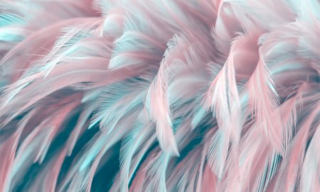 Розовые перья