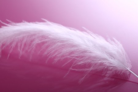 Нежные перья